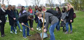 День довкілля в Острозькій академії